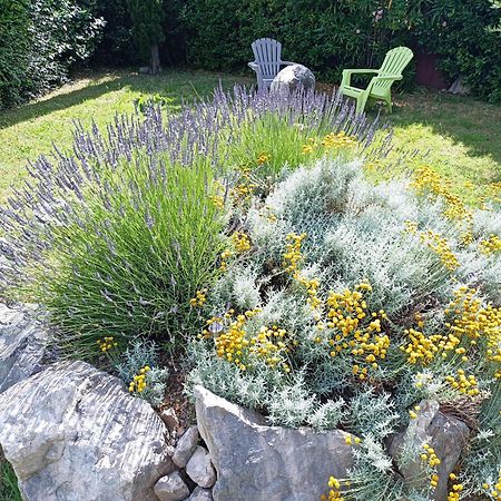 Anduze Gite Les Pins Au "Petit Clos Des Cigales" Massillargues-Attuech المظهر الخارجي الصورة