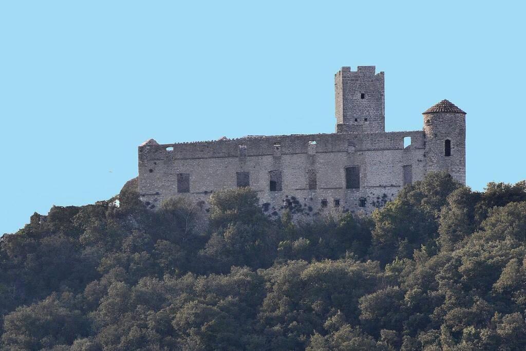 Anduze Gite Les Pins Au "Petit Clos Des Cigales" Massillargues-Attuech المظهر الخارجي الصورة