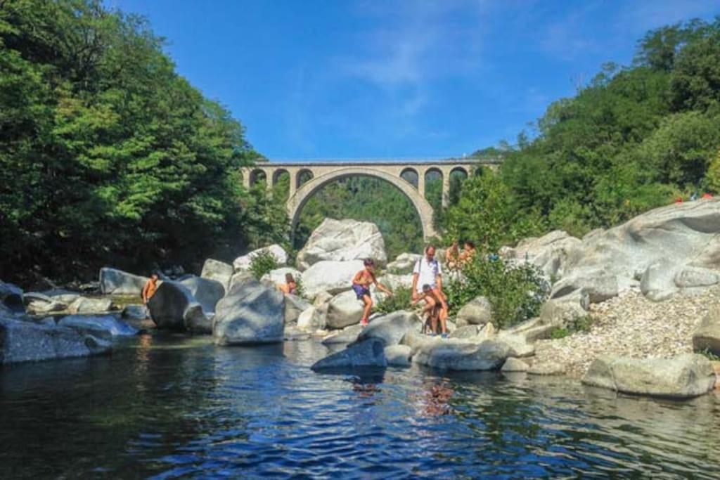 Massillargues-Attuech Anduze Gite Les Pins Au "Petit Clos Des Cigales" المظهر الخارجي الصورة